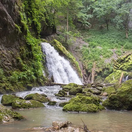 Apuseni Park Padis Budureasa