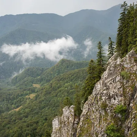 Apuseni Park Padis Hotel Budureasa