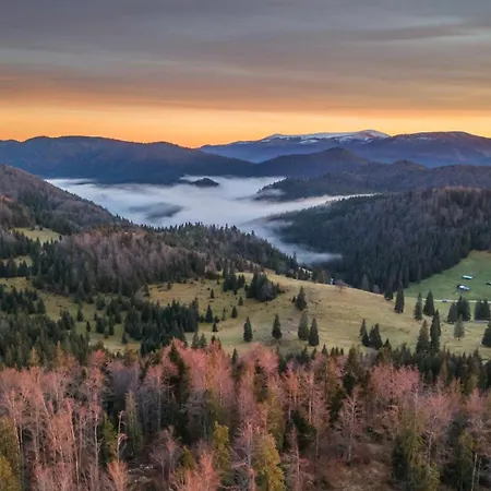 Apuseni Park Padis Budureasa
